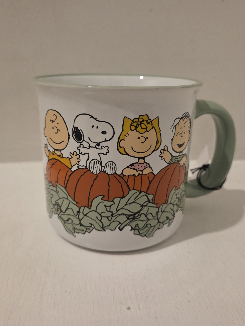 Peanuts Ceramic Mug Its Fall Season Design with Orange Pumpkins and Sage Handle